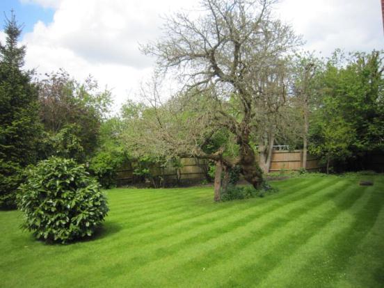 Communal Garden